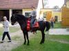 Lilienhof 270805 036